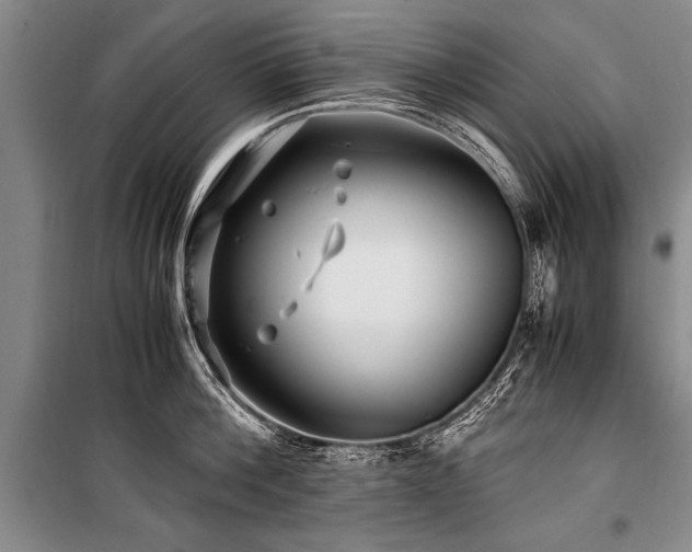 X0000101170812200806271033