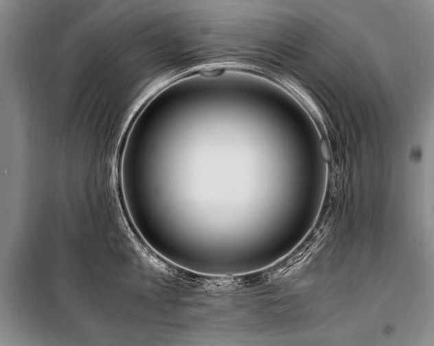 X0000101170813200806271033