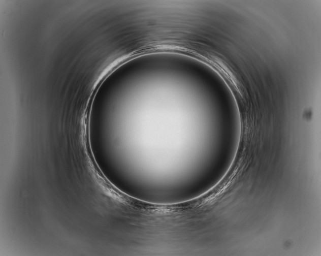X0000101170814200806271033