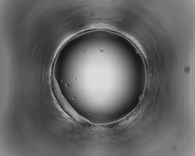 X0000101170815200806271033