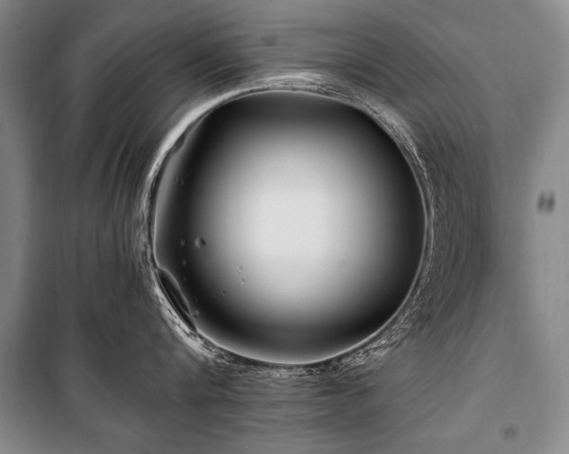 X0000101170816200806271033