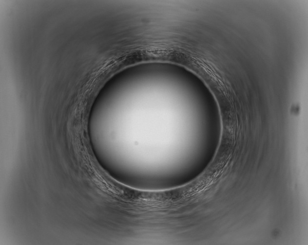 X0000101170817200806271032