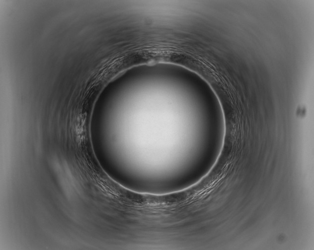 X0000101170818200806271032