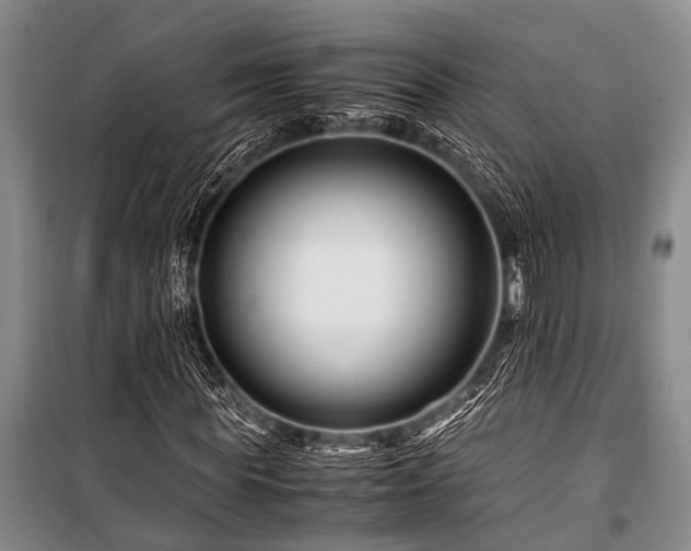 X0000101170819200806271032