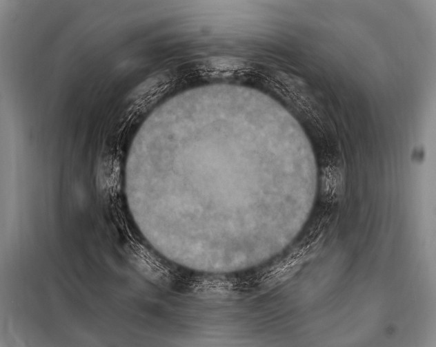 X0000101170820200806271032