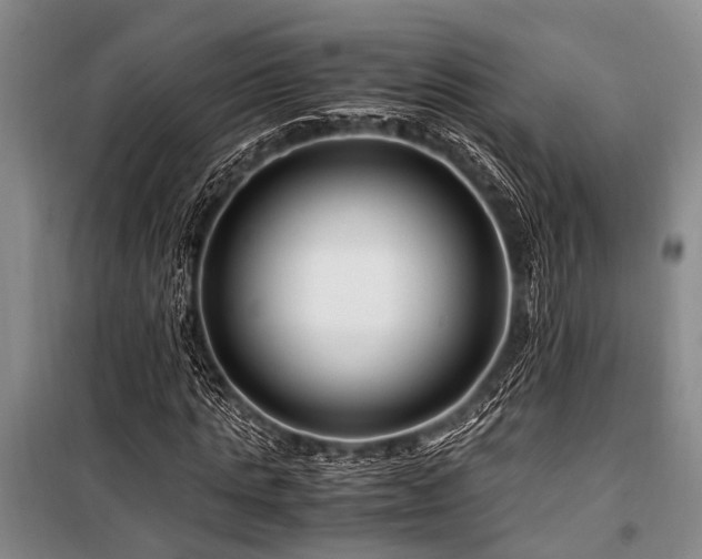X0000101170821200806271032