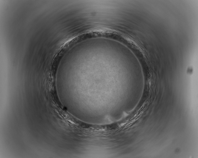 X0000101170822200806271032