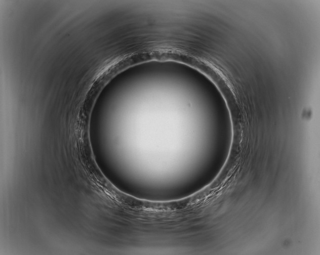X0000101170823200806271032