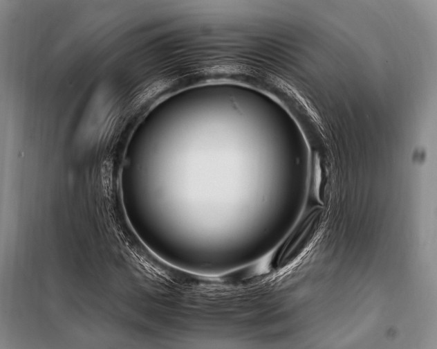 X0000101170825200806271032