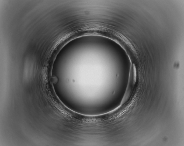 X0000101170826200806271032