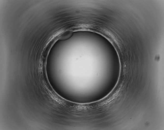 X0000101170827200806271032