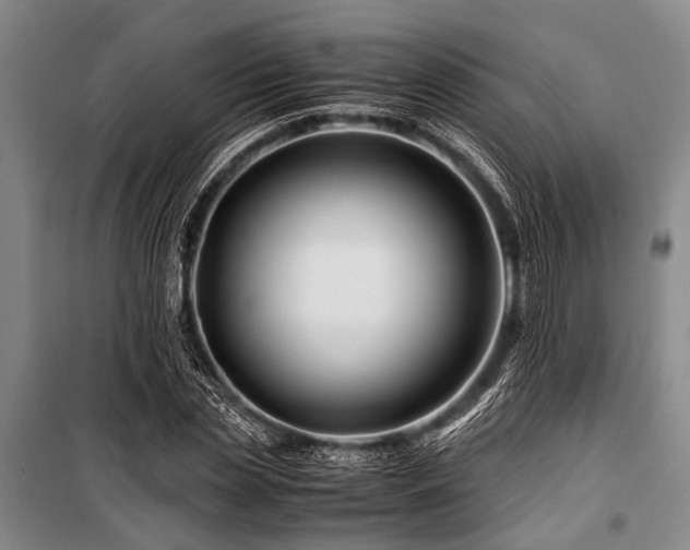X0000101170829200806271032