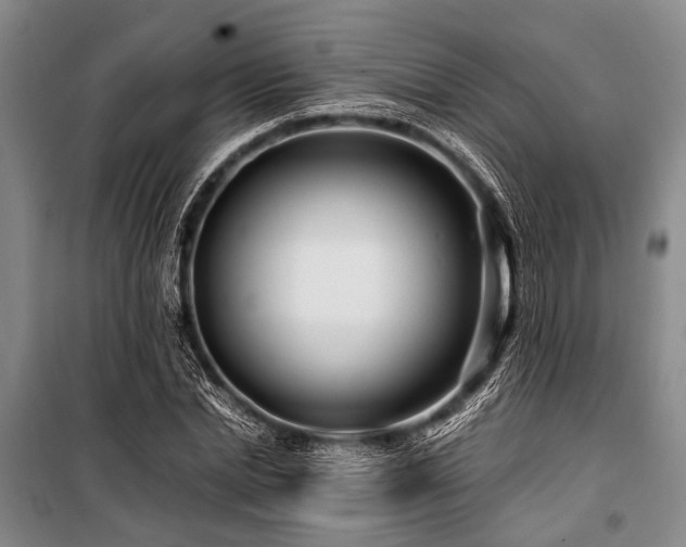 X0000101170830200806271032