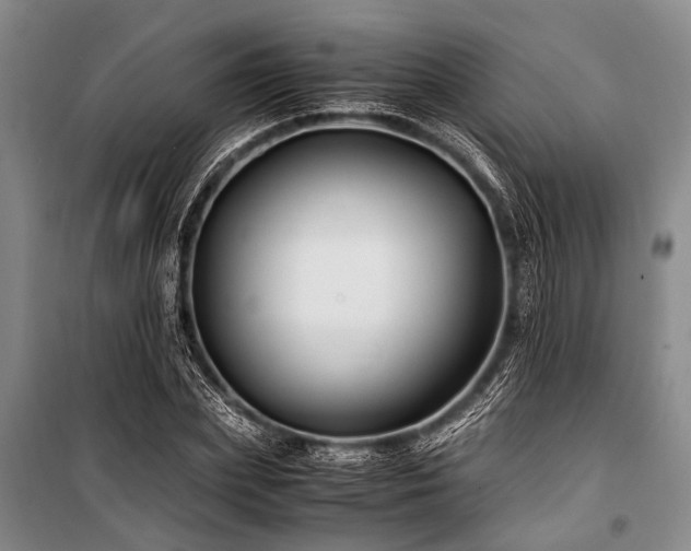 X0000101170831200806271032