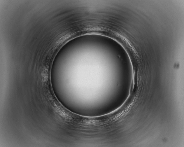 X0000101170833200806271032