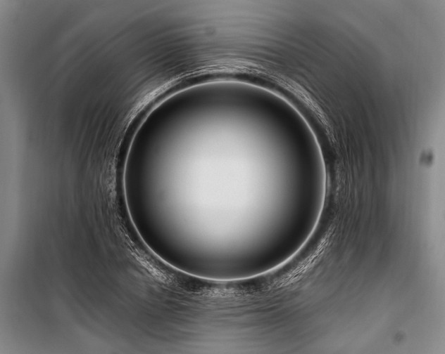 X0000101170834200806271032
