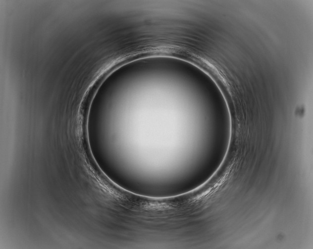 X0000101170835200806271032