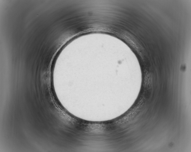 X0000101170836200806271032