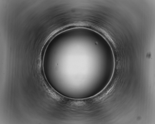 X0000101170837200806271032