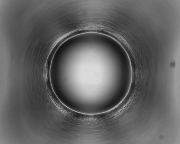X0000101170838200806271032