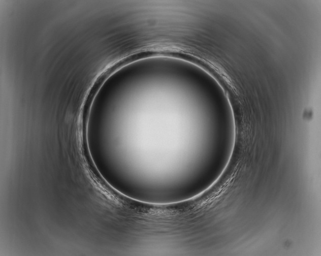 X0000101170840200806271032