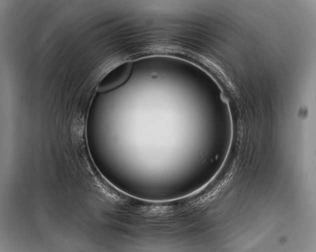 X0000101170841200806271032