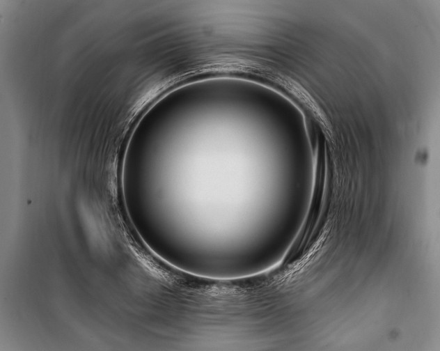 X0000101170842200806271032