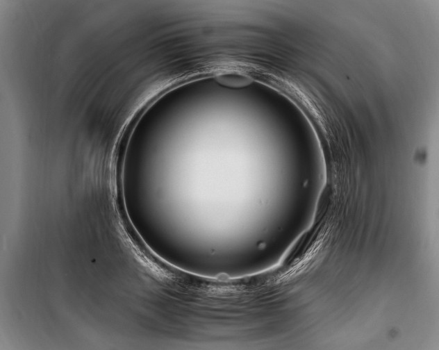 X0000101170843200806271032