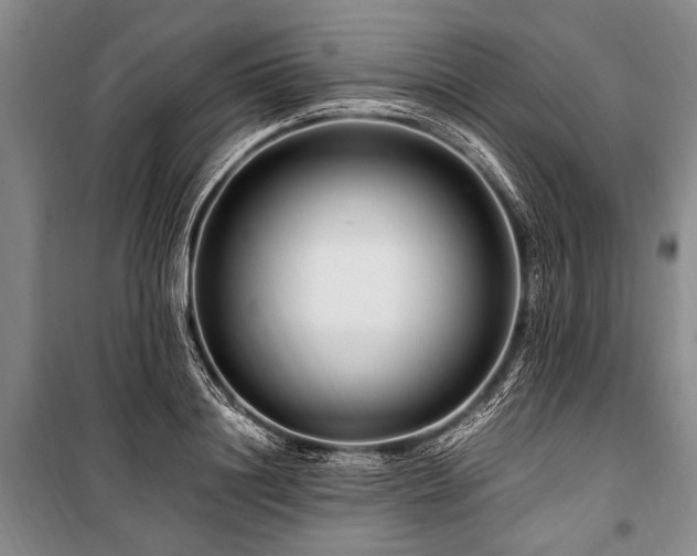 X0000101170844200806271032