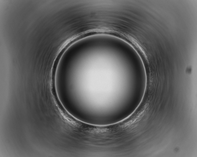 X0000101170845200806271032