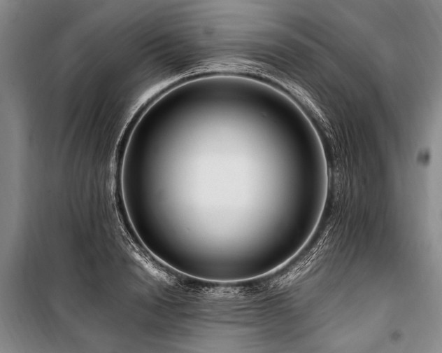 X0000101170846200806271032