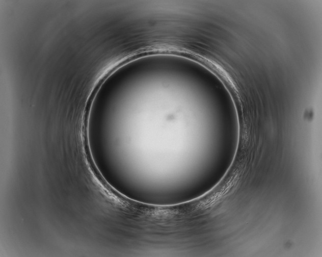 X0000101170847200806271032