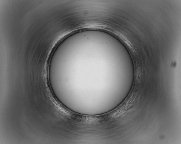X0000101170848200806271032