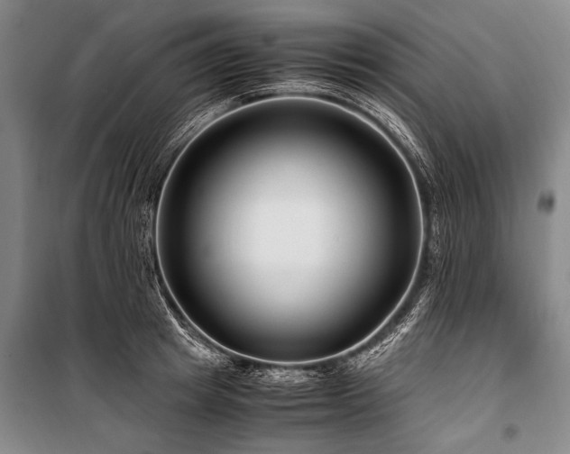 X0000101170849200806271032