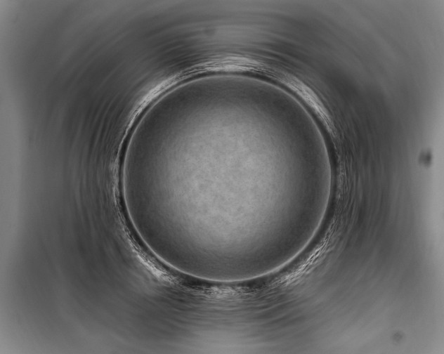 X0000101170850200806271032