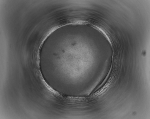 X0000101170851200806271032