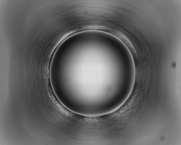 X0000101170852200806271032