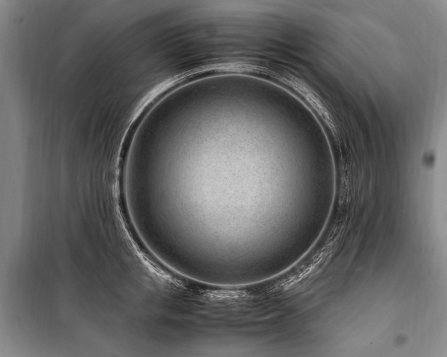 X0000101170853200806271032