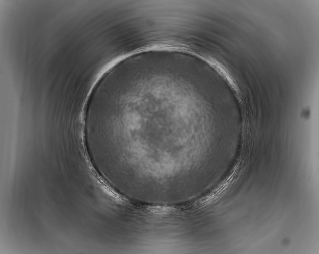 X0000101170854200806271032