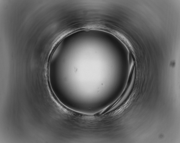 X0000101170855200806271033