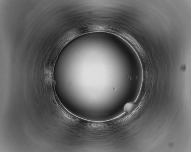 X0000101170857200806271033