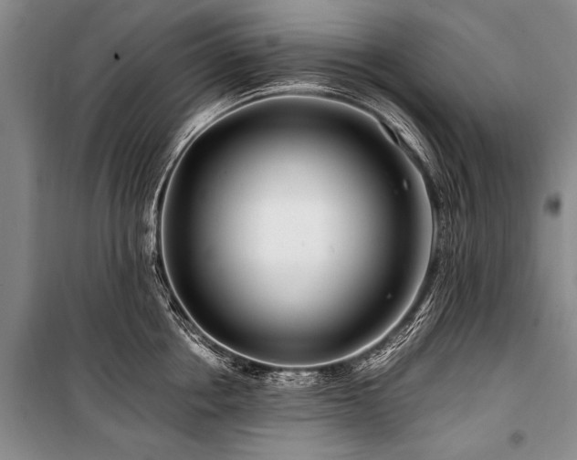 X0000101170858200806271033