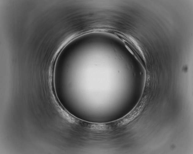 X0000101170859200806271033