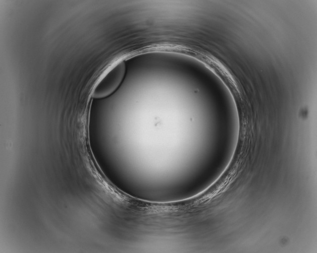 X0000101170860200806271033