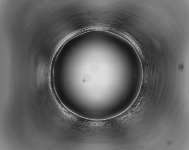 X0000101170861200806271033