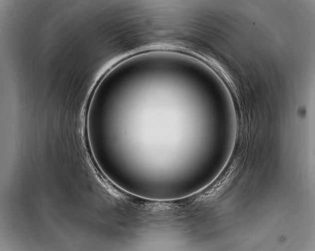 X0000101170862200806271033