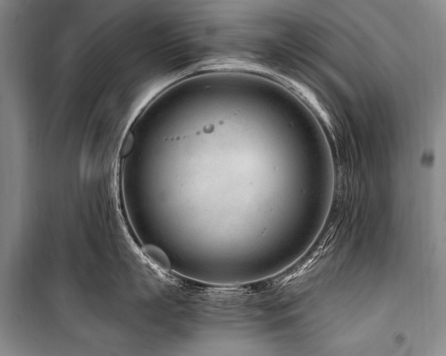 X0000101170863200806271033