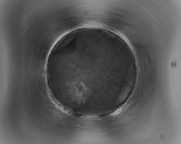 X0000101170864200806271033