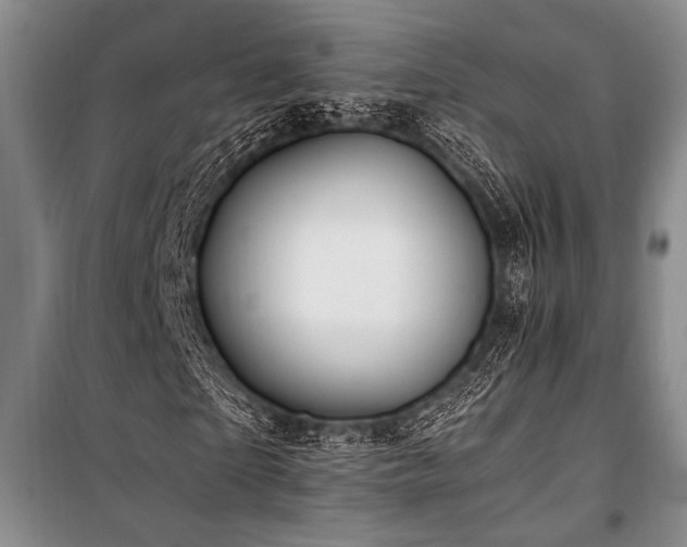 X0000101170865200806271032