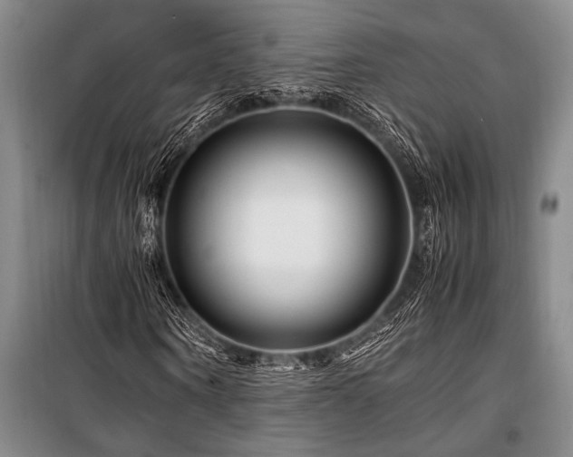X0000101170866200806271032